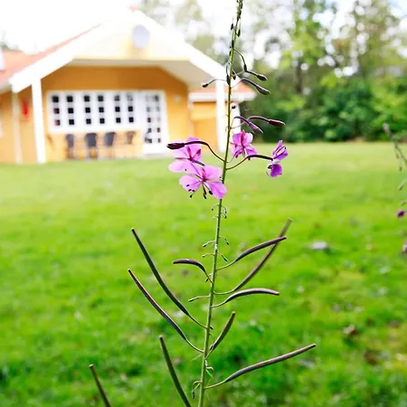 Four-bedroom In 6 Сasa de vacaciones